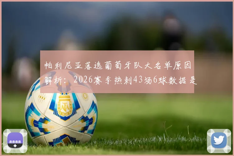 帕利尼亚落选葡萄牙队大名单原因解析：2026赛季热刺43场6球数据是否成为关键因素？