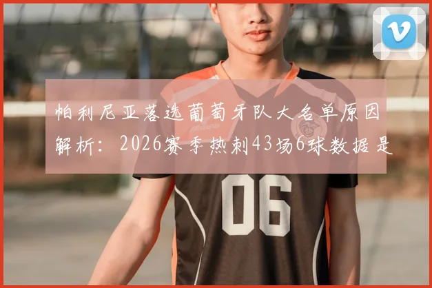 帕利尼亚落选葡萄牙队大名单原因解析：2026赛季热刺43场6球数据是否成为关键因素？